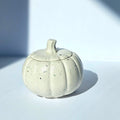Pumpkin - Terrazzo